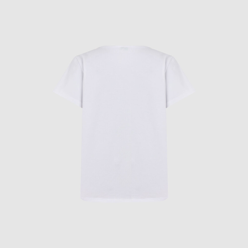 Medium 555 44483397 395     00 2