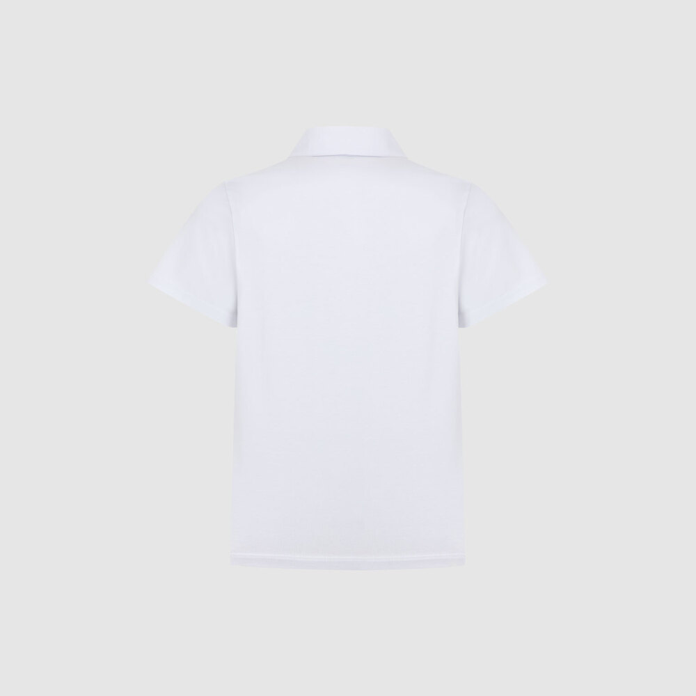 Medium 555 67350525 395     00 2