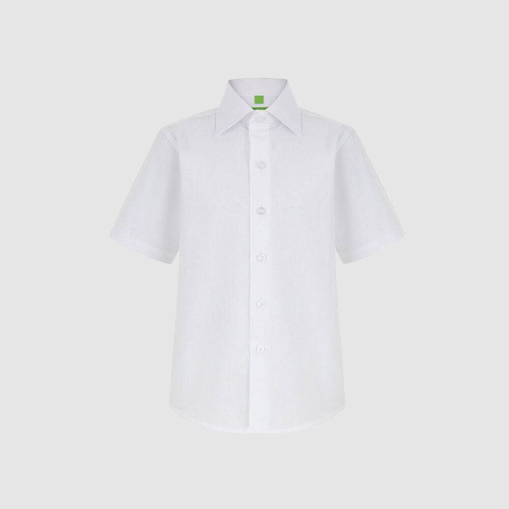 Medium 555 02423534 395     00 1