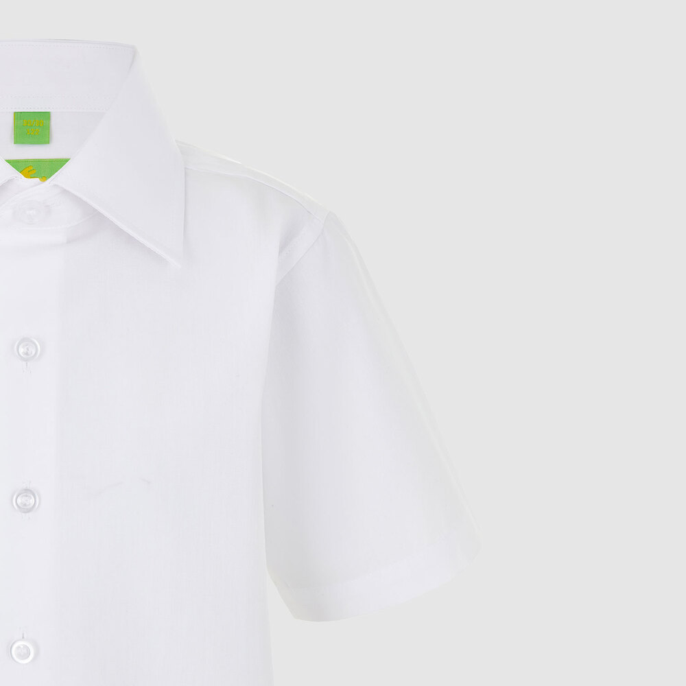 Medium 555 02423534 395     00 4